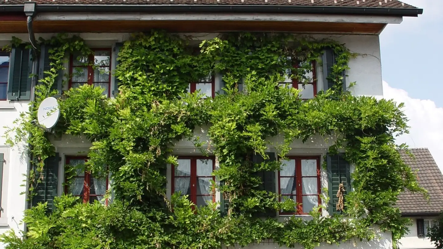 Stanza singola in affitto - Hinterdorfstrasse 1, 8635 Dürnten - Photo 3