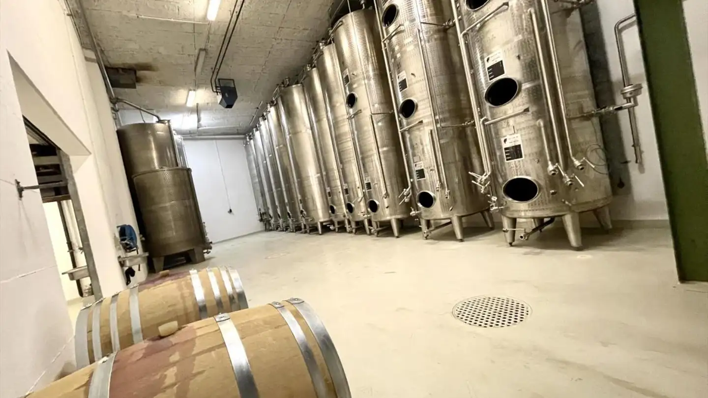 Mixed-use building for sale - 3970 Salgesch