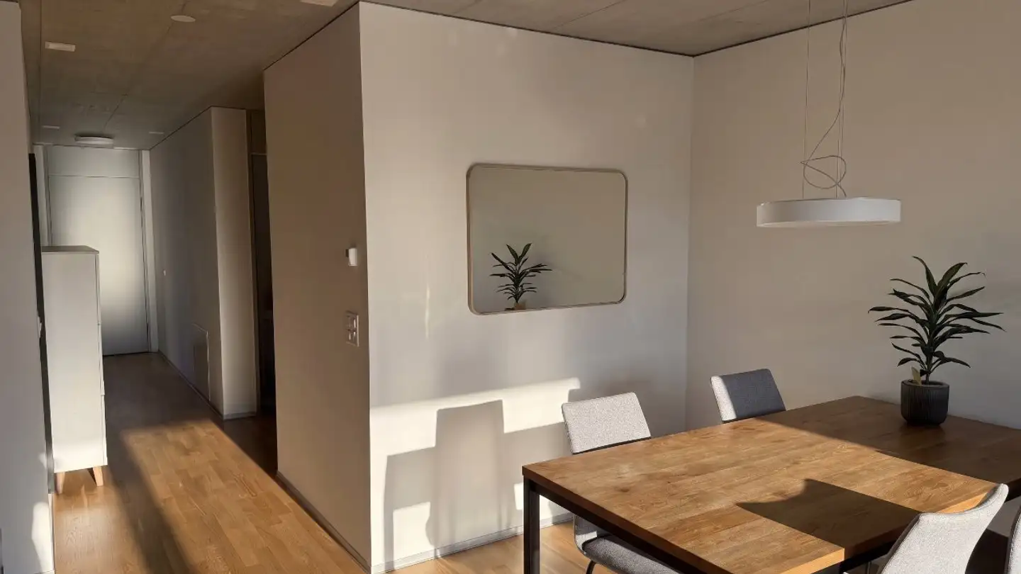 Appartamento in affitto - Bahnmeisterweg, 8400 Winterthur - Foto 2