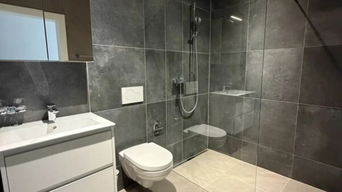 Apartment for rent - Rotkornstrasse 11, 5727 Oberkulm - Photo 4