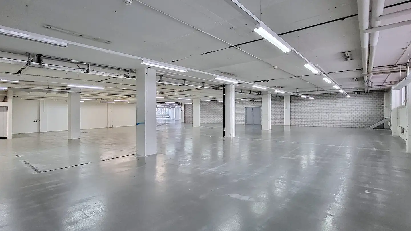 Spazio di archiviazione in affitto - Gewerbestrasse 16, 8132 Egg b. Zürich