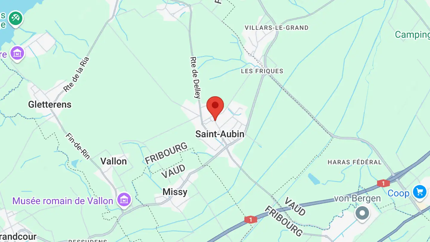 Appartamento in vendita - Route De La Tsesard, 1566 St-Aubin FR - Foto 3