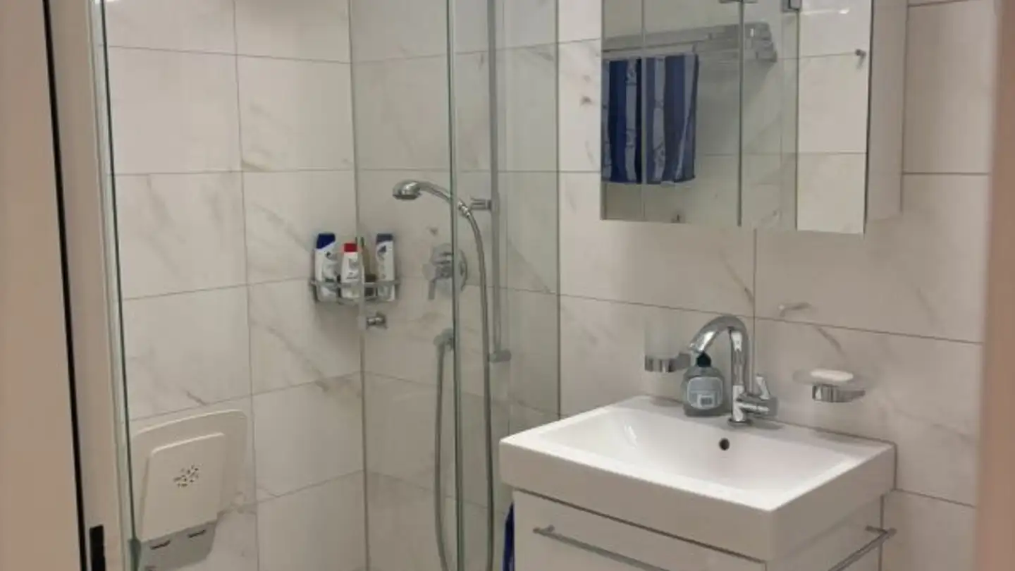 Appartamento in affitto - Friedhofstrasse 4, 8702 Zollikon - Photo 4