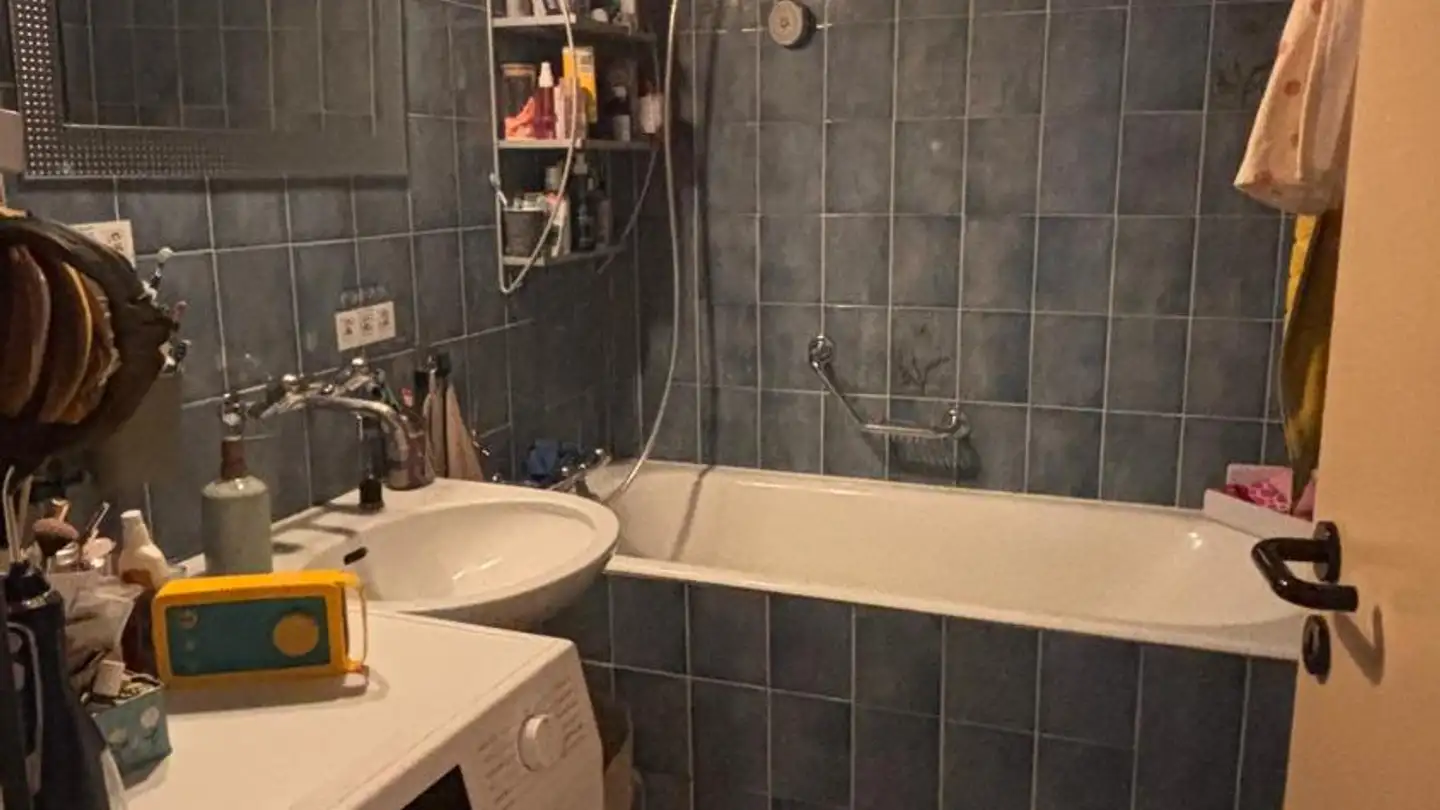 Apartment for rent - Quai Du Cheval-Blanc 19, 1227 Les Acacias - Photo 3