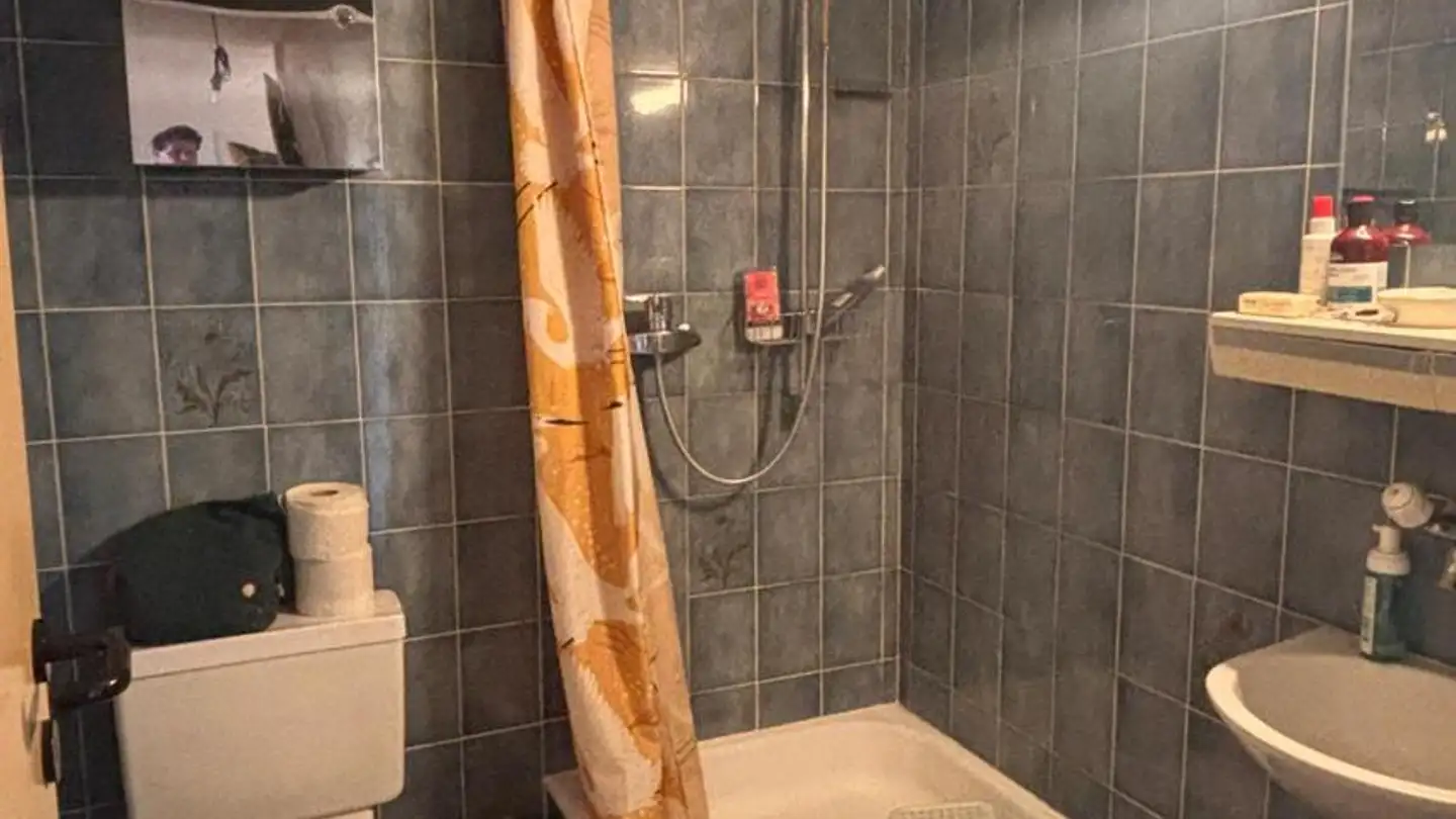 Apartment for rent - Quai Du Cheval-Blanc 19, 1227 Les Acacias - Photo 4
