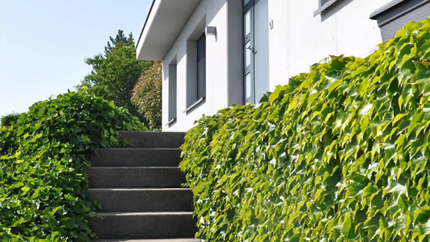 Loft à louer - Ottenhofenstrasse 103a, 8738 Uetliburg SG