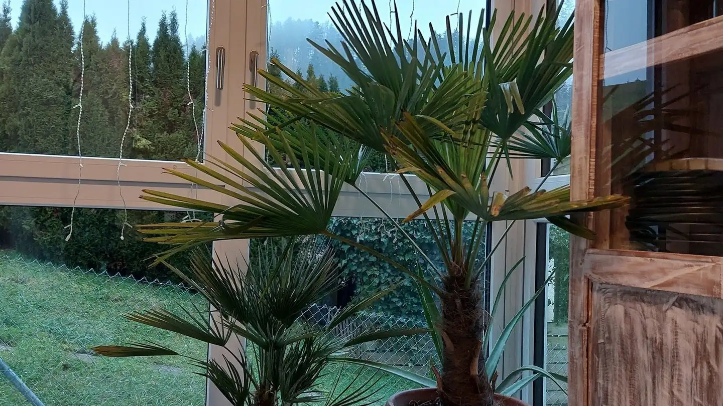 Appartamento in affitto - St. Urbanstrasse 25, 6144 Zell LU - Foto 3