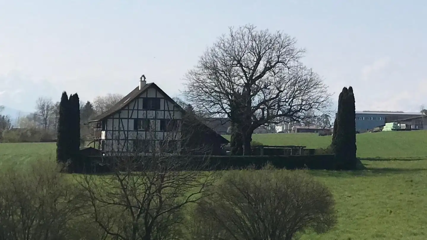 Einfamilienhaus kaufen - K 348 1, 5643 Alikon - Foto 3