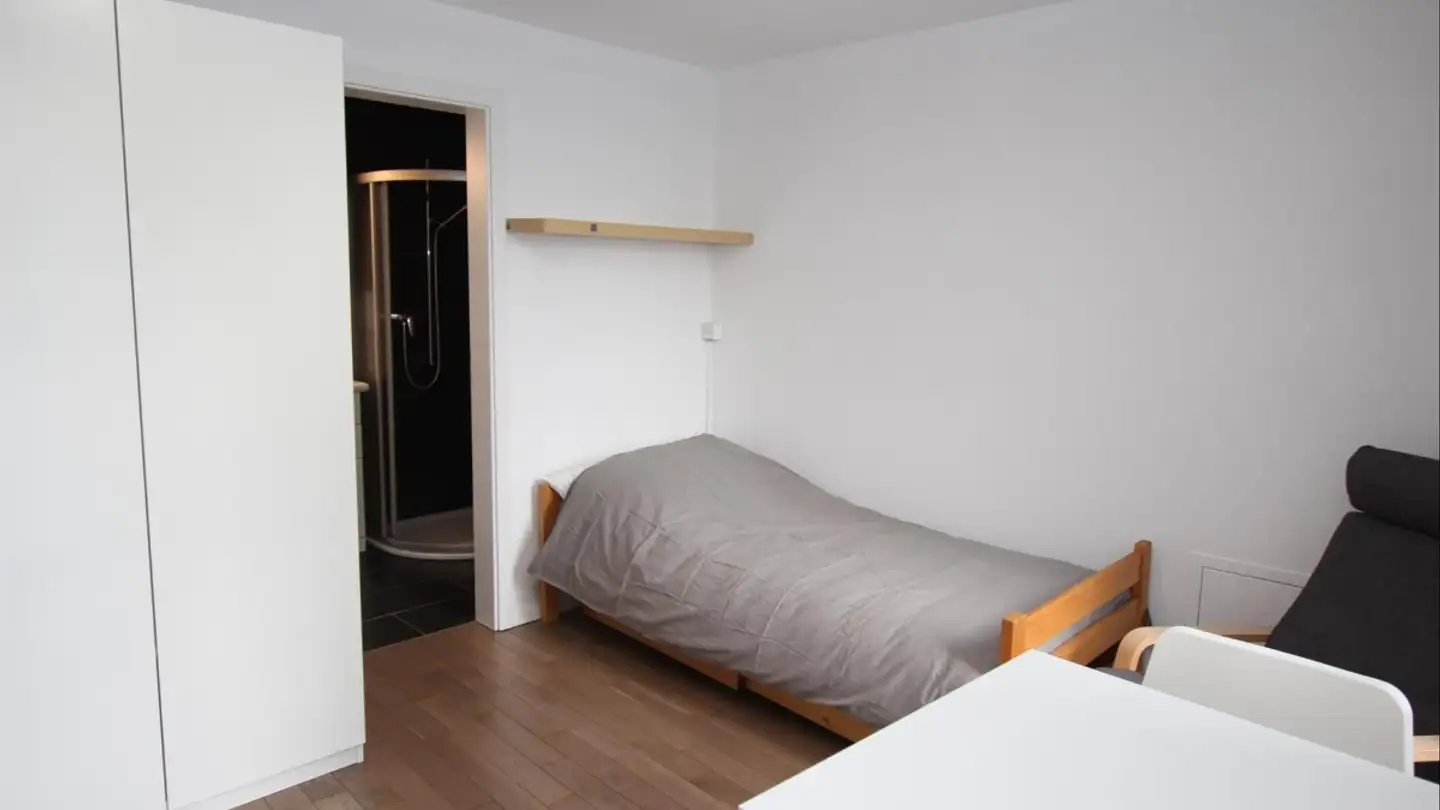 Furnished apartment for rent - Rue De Montbrillant 21, 1201 Genève - Photo 3