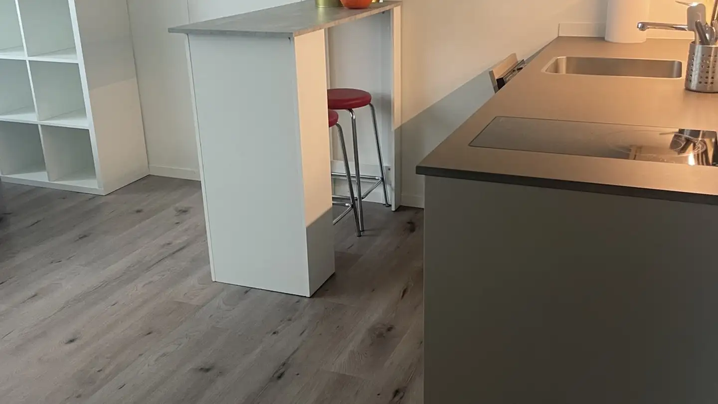 Appartamento ammobiliato in affitto - 8303 Bassersdorf - Photo 2