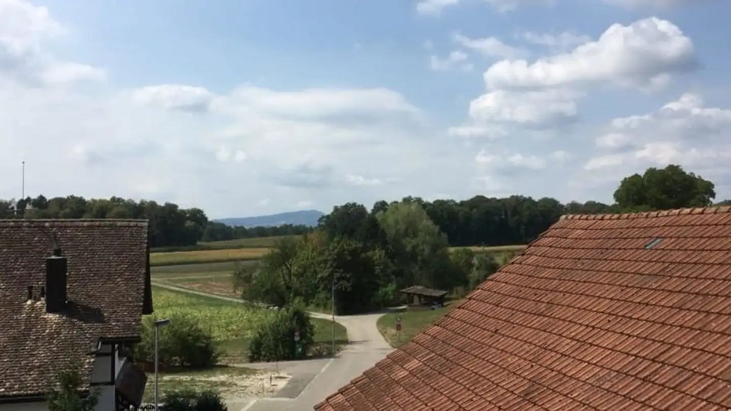 Penthouse for rent - Oberglattnerstrasse 4, 8185 Winkel