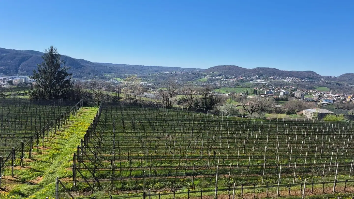 Appartamento in vendita - 6874 Castel San Pietro - Photo 3