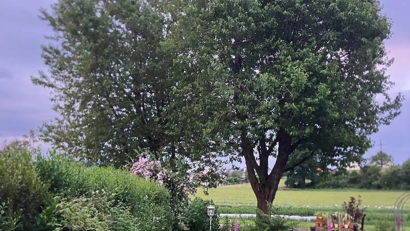 Appartamento a gradini in affitto - Bernstrasse 66, 3053 Münchenbuchsee - Photo 3