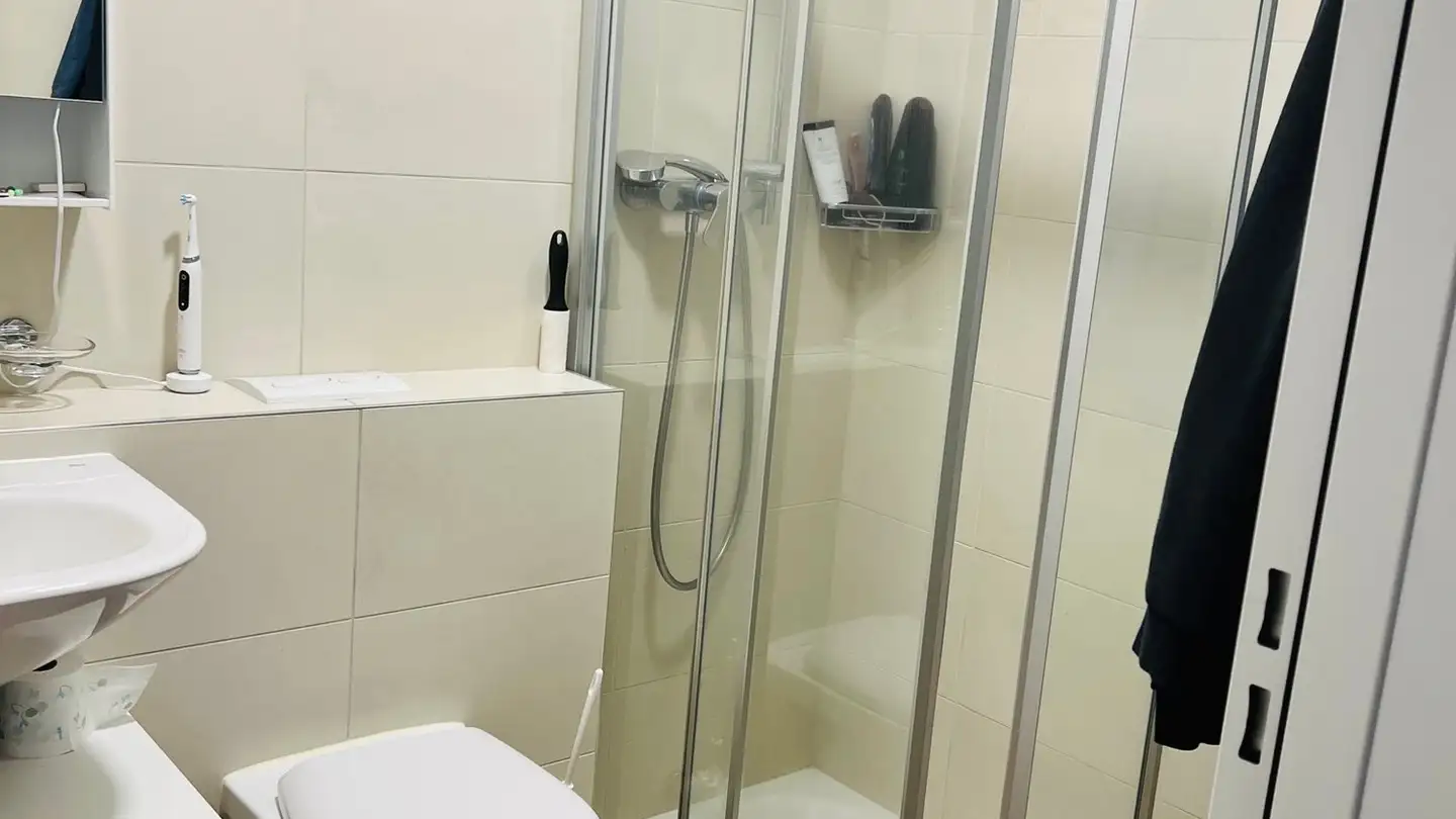 Appartamento in affitto - Via Lischedo, 6802 Rivera - Foto 4