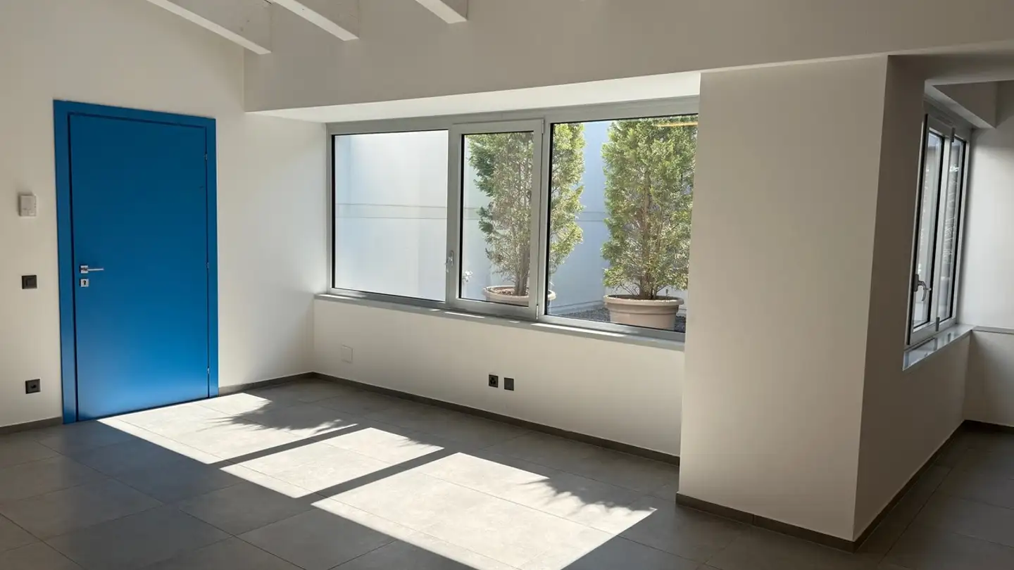 Office space for sale - 6930 Bedano - Photo 2