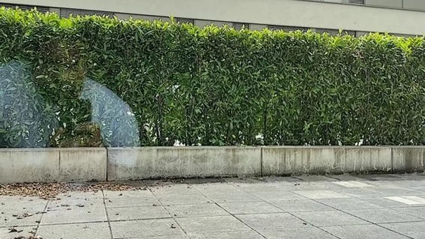 Wohnung mieten - Rue Du Coppet 17, 1870 Monthey - Foto 3