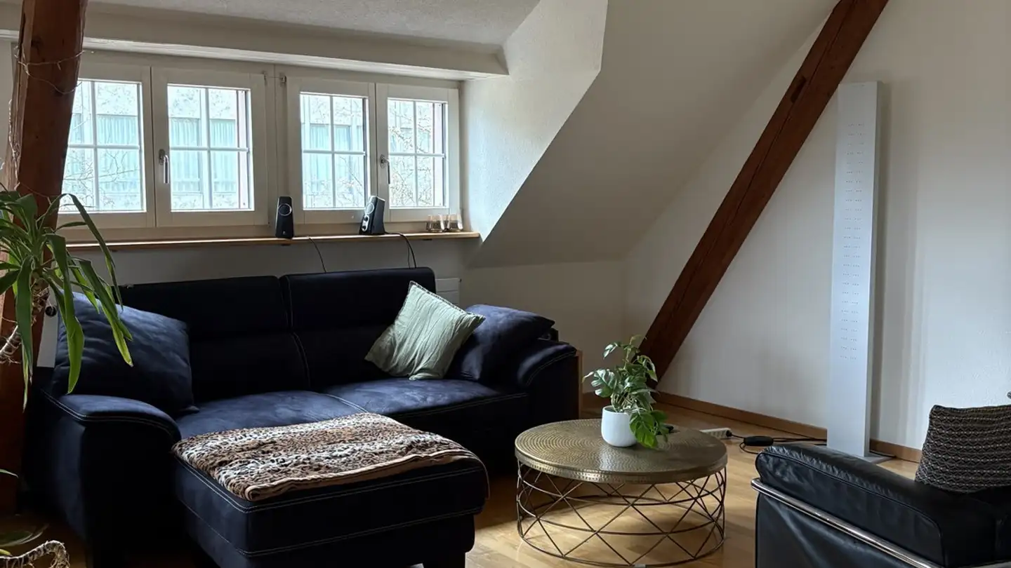 Stanza singola in affitto - Friedenstrasse 6, 8400 Winterthur - Photo 3