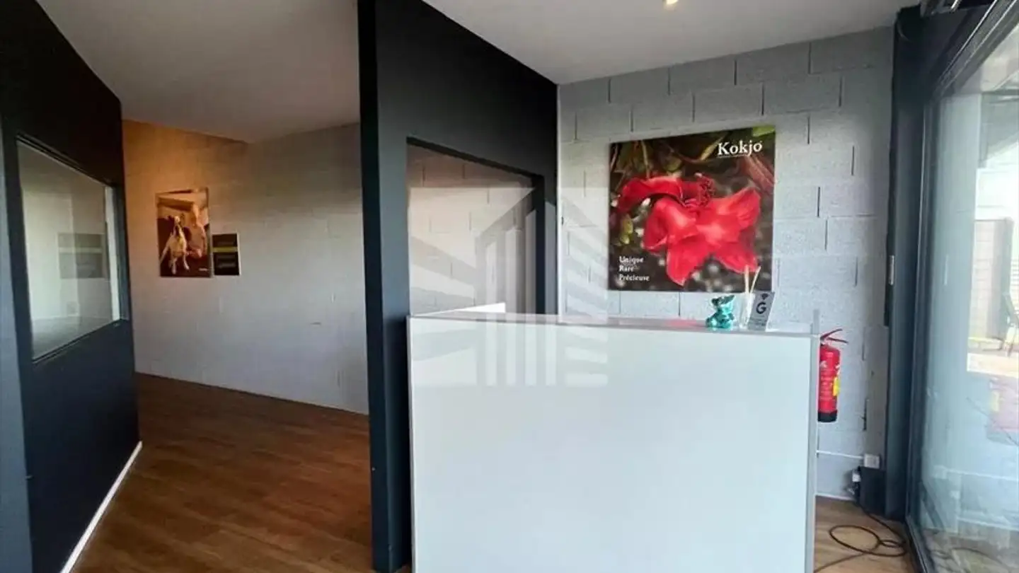 Commerciale in affitto - Route D'echallens 5, 1042 Assens - Photo 3