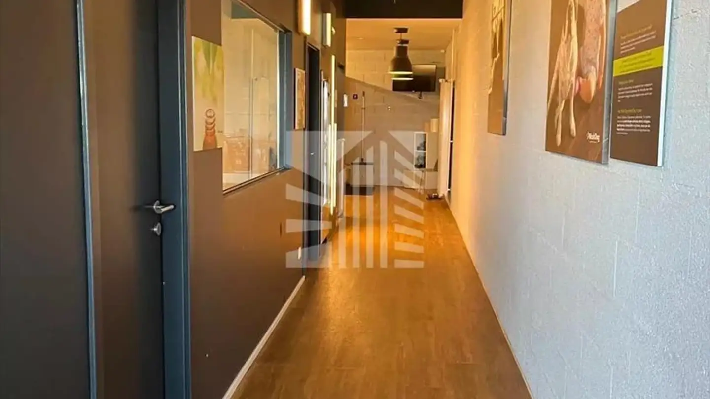 Commerciale in affitto - Route D'echallens 5, 1042 Assens - Photo 4