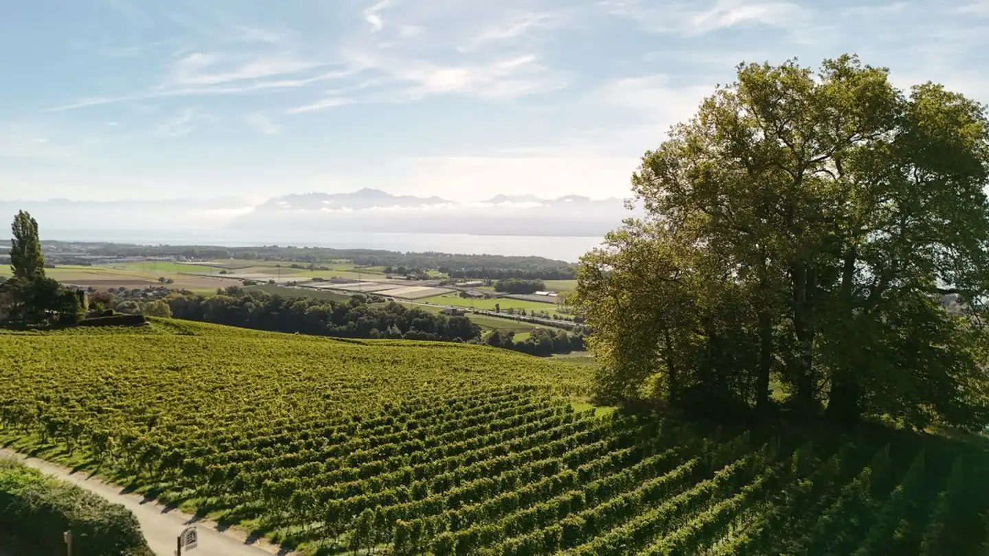 Single house for sale - 1172 Bougy-Villars - Photo 2