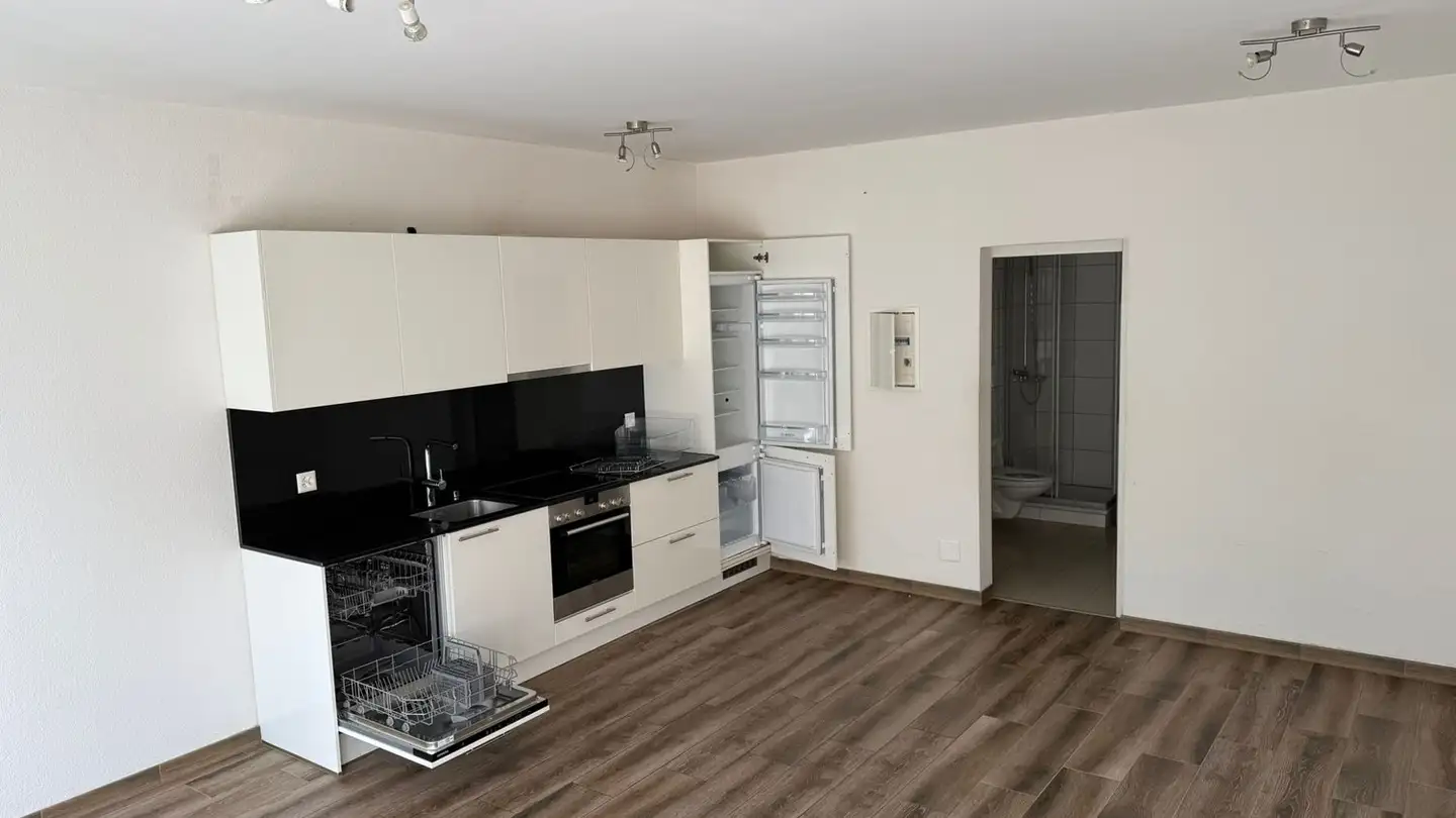 Studio in affitto - Striegelstrasse 21, 5745 Safenwil
