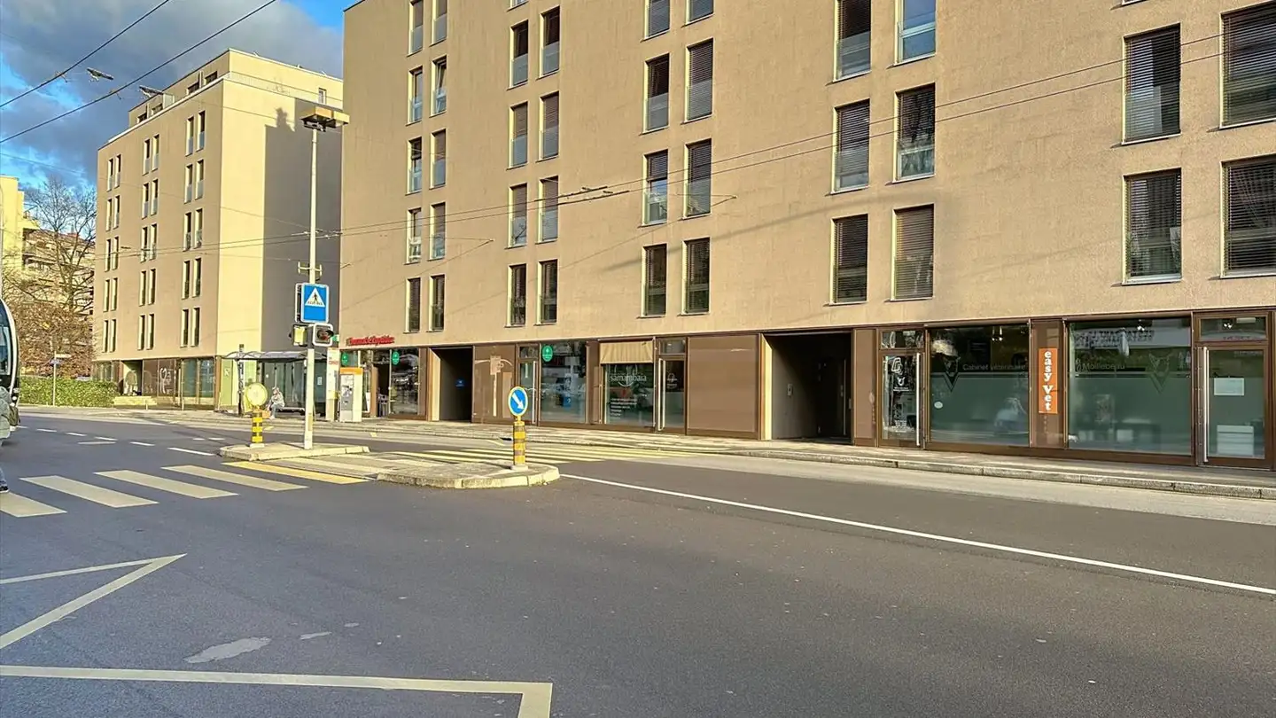 Appartamento in affitto - Rue De Moillebeau 42b, 1209 Genève