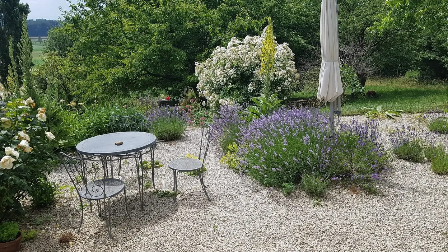 Stanza singola in affitto - Leimenstrasse 79, 2575 Täuffelen - Foto 3