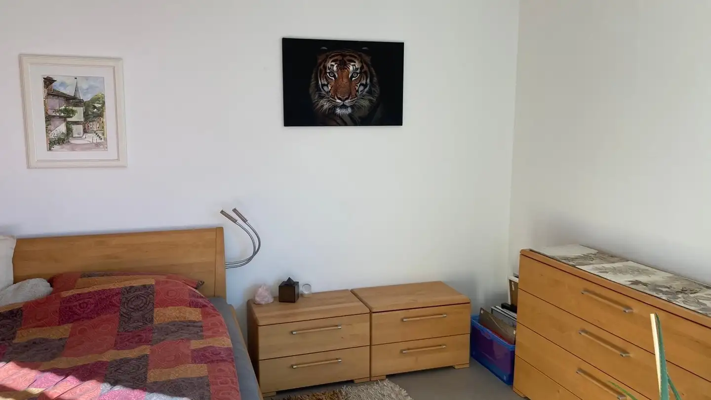 Appartamento in affitto - Via San Gottardo 175, 6648 Minusio - Photo 4