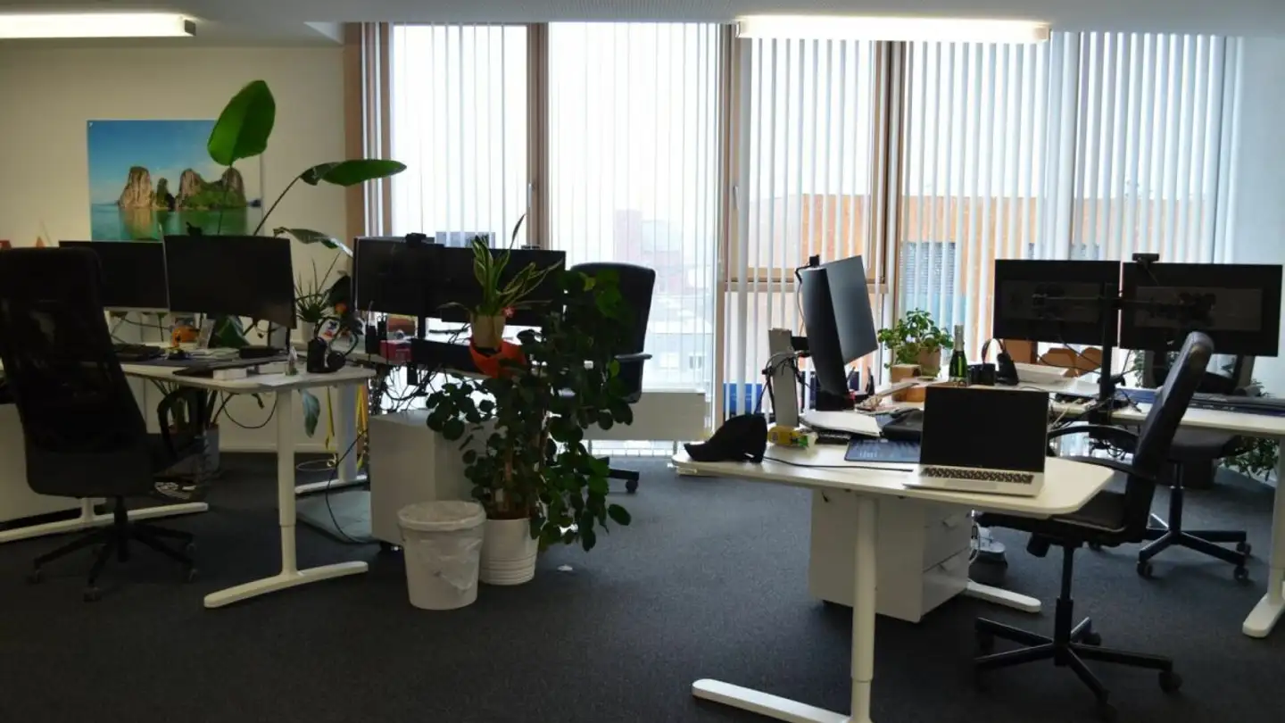 Kaufhaus mieten - Breitfeldstrasse, 9015 St. Gallen - Foto 3