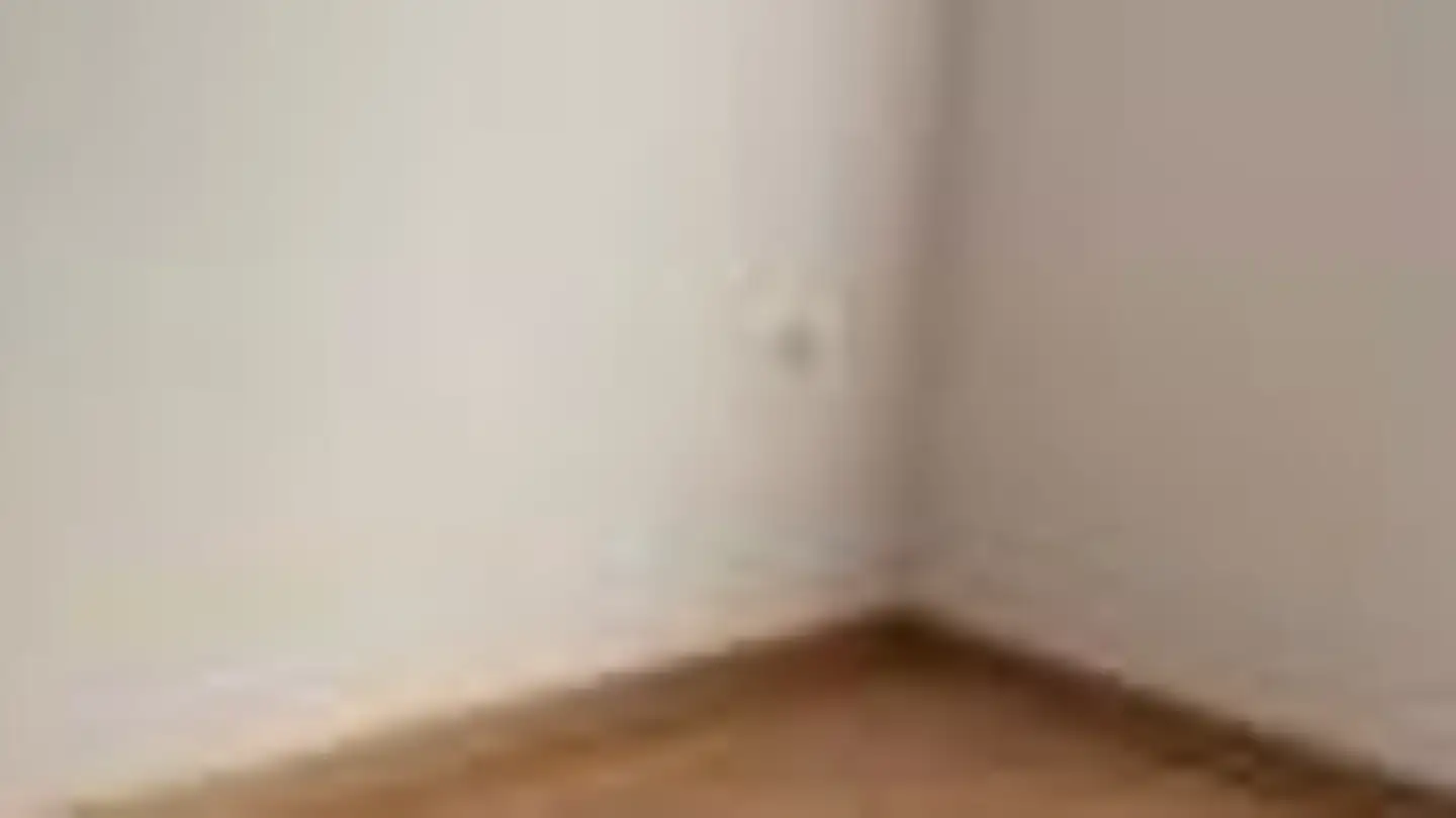Apartment for rent - Schlossbergweg 2, 9545 Wängi - Photo 3
