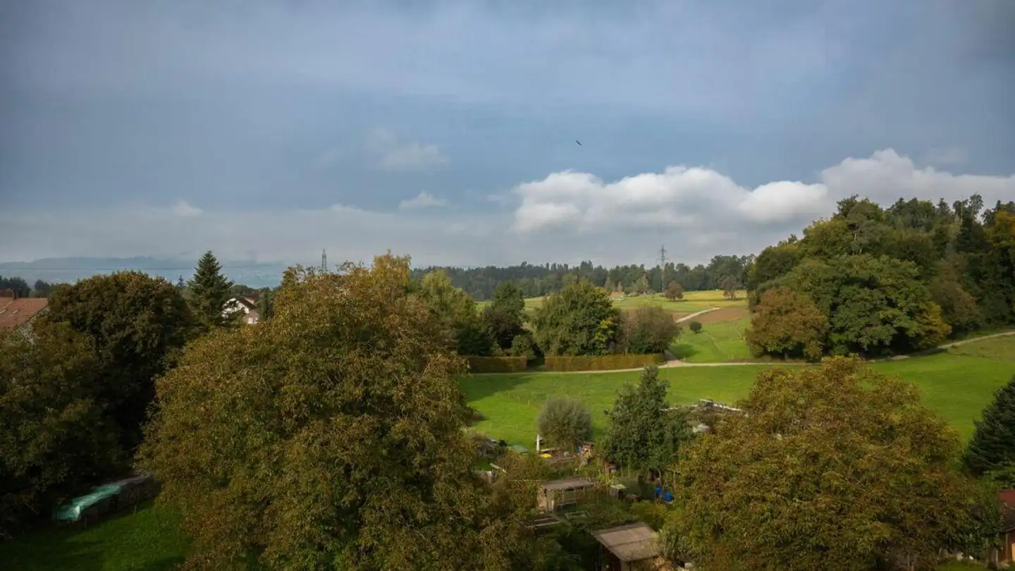 Penthouse for sale - Langweidstrasse 3, 8624 Grüt (Gossau ZH)