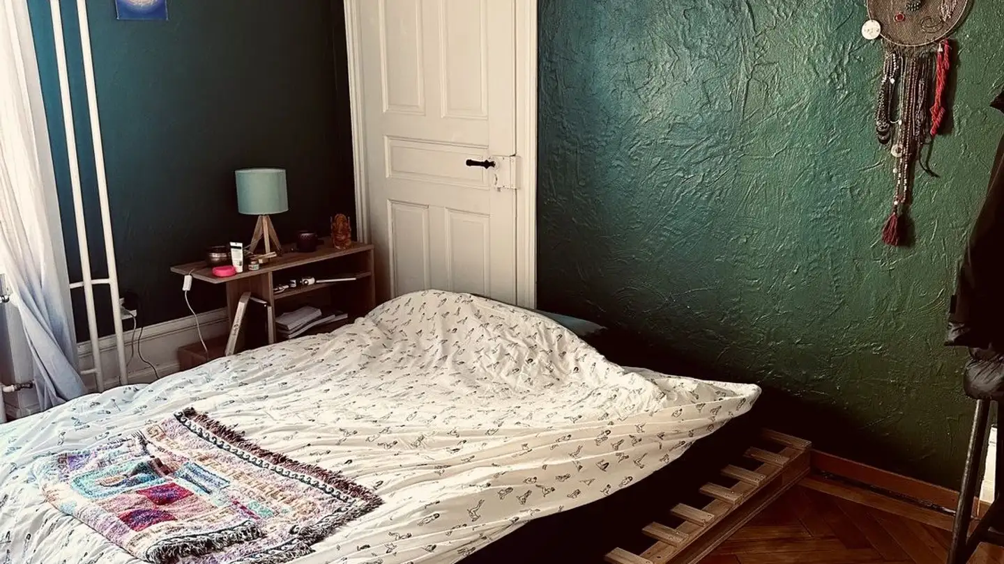 Chambre à louer - Freyastrasse, 8004 Zürich - Photo 3