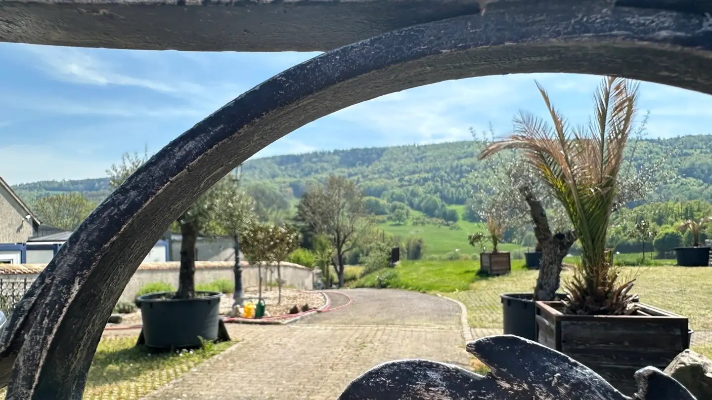 Jardin à louer - Metzerlenstrasse 11, 4115 Mariastein - Photo 2