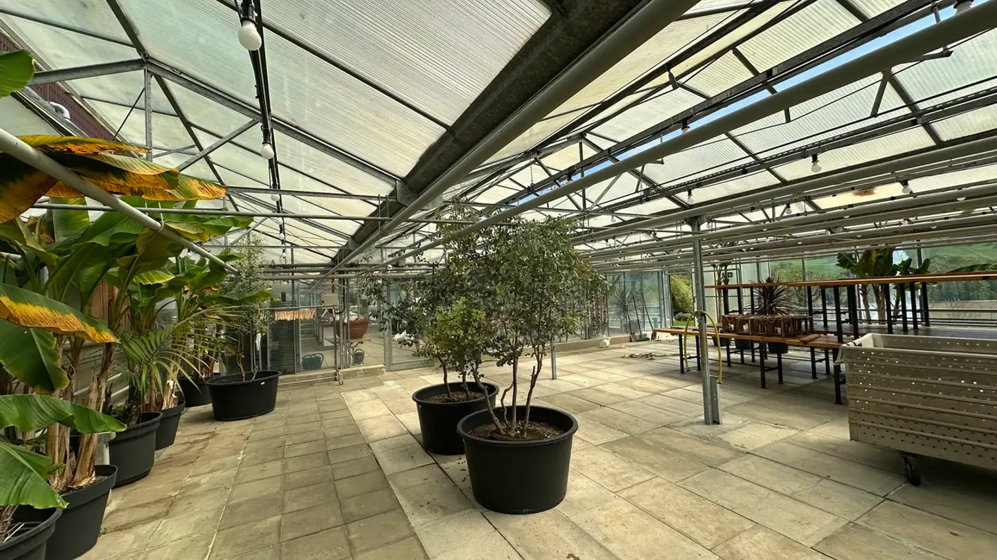 Jardin à louer - Metzerlenstrasse 11, 4115 Mariastein - Photo 4