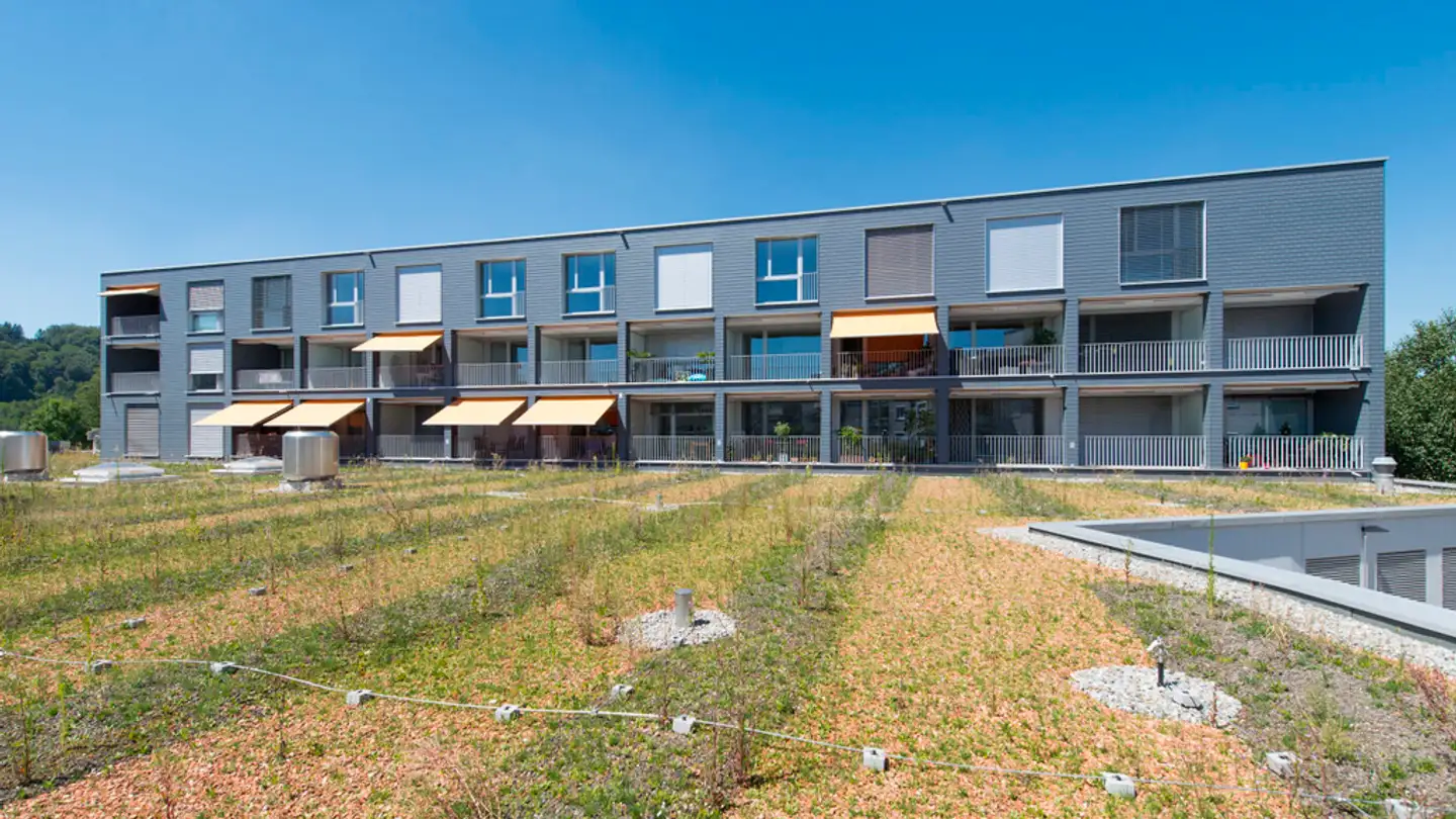 Appartamento in affitto - Birmensdorferstrasse 81, 8902 Urdorf