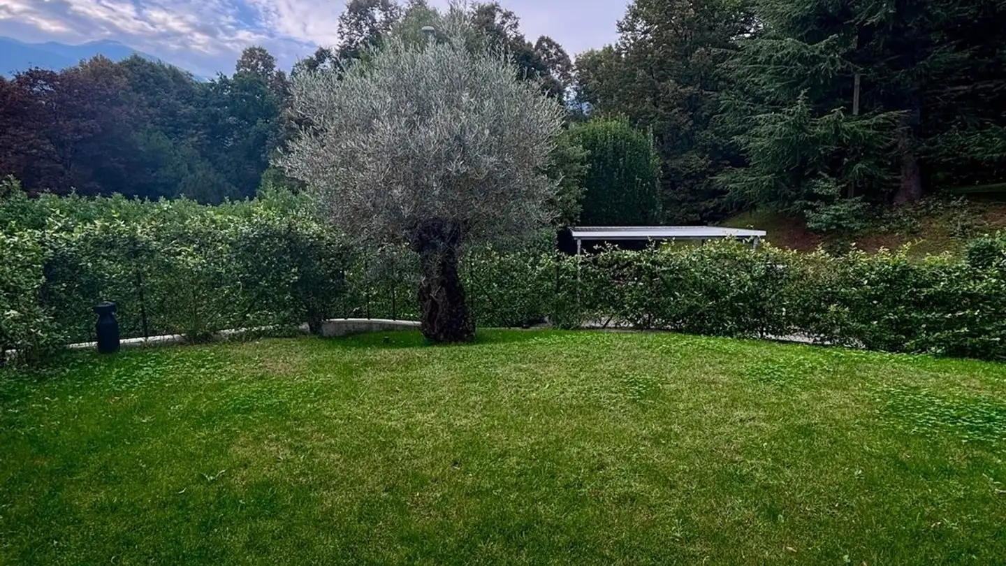 Appartamento in affitto - Via Orio, 6946 Ponte Capriasca - Photo 2