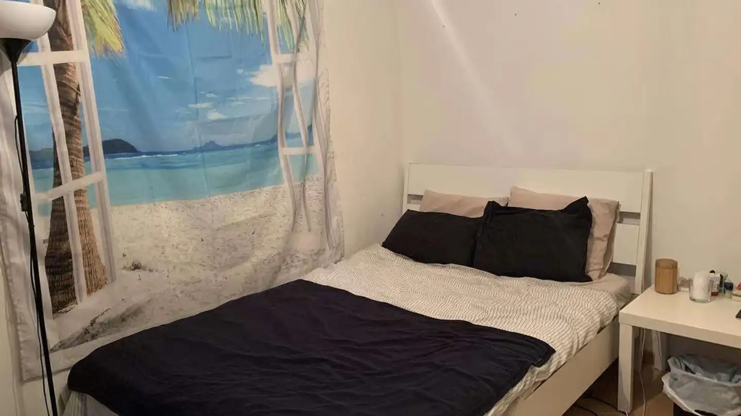 Single room for rent - Rue De Genève 77, 1004 Lausanne