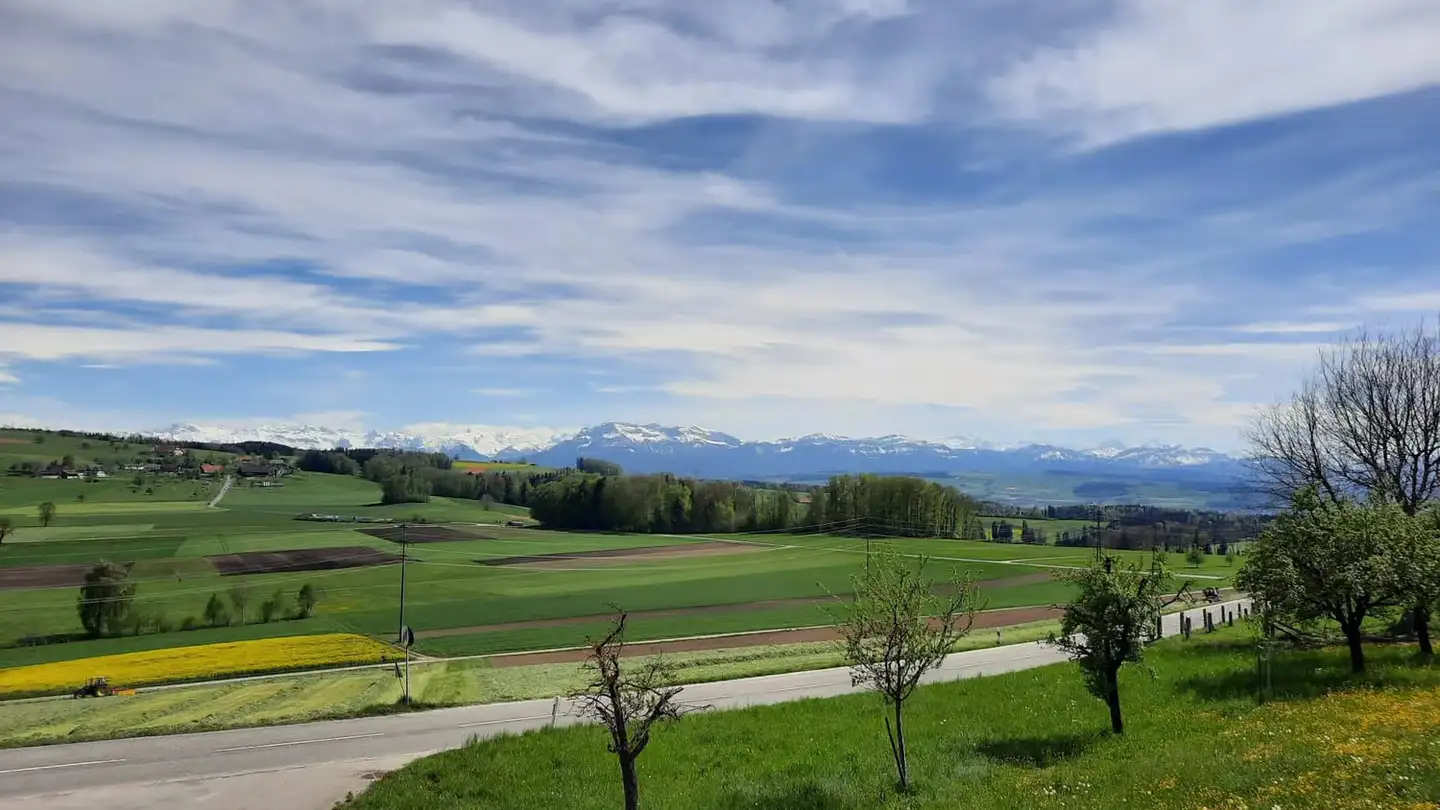 Wohnung mieten - Hasenhusen 6, 6221 Rickenbach LU
