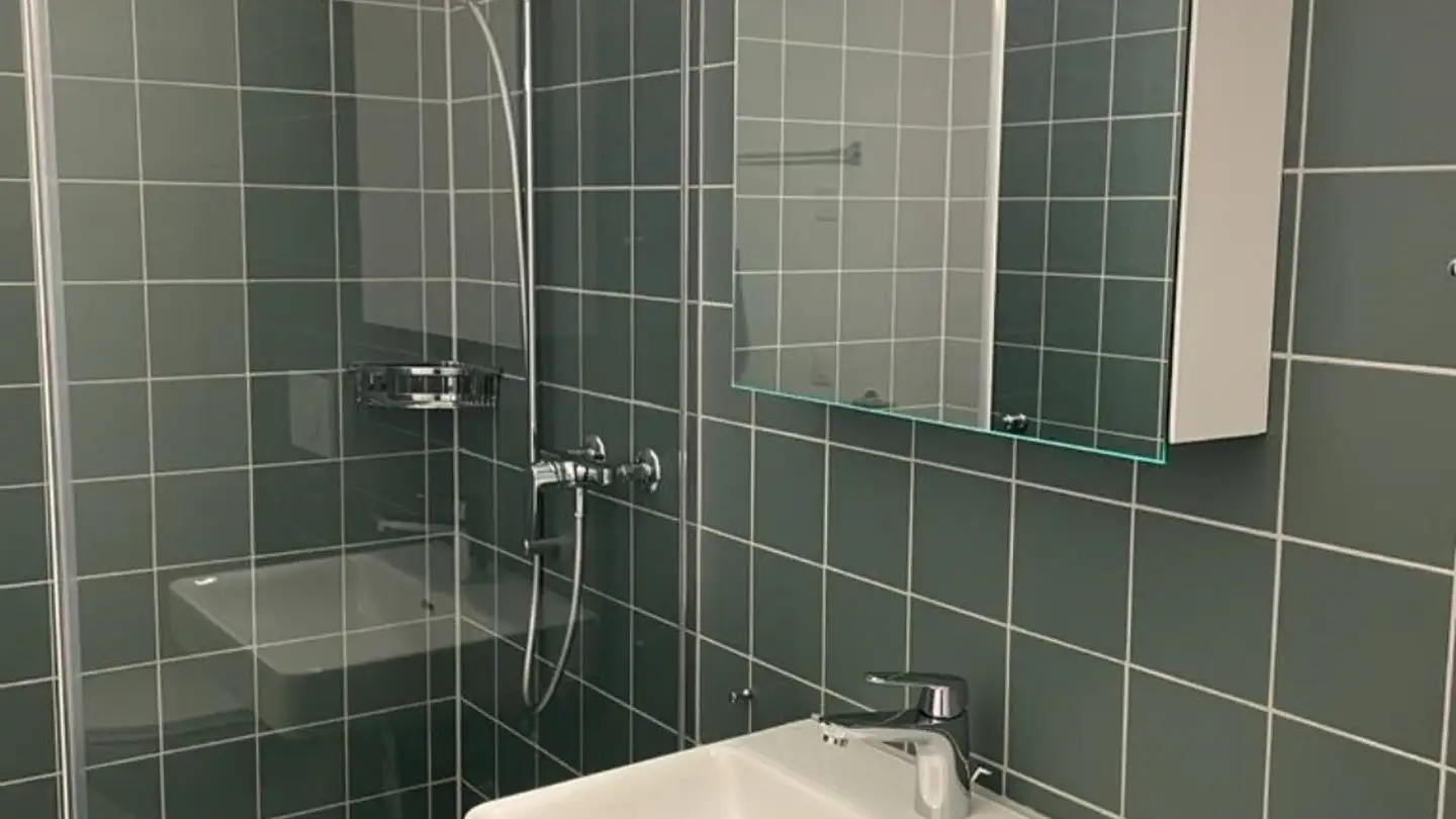 Apartment for rent - Bernapark 13, 3066 Stettlen - Photo 4
