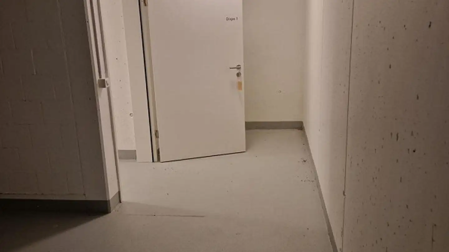 Studio mieten - Apperechweg 8a, 5015 Erlinsbach SO - Foto 2