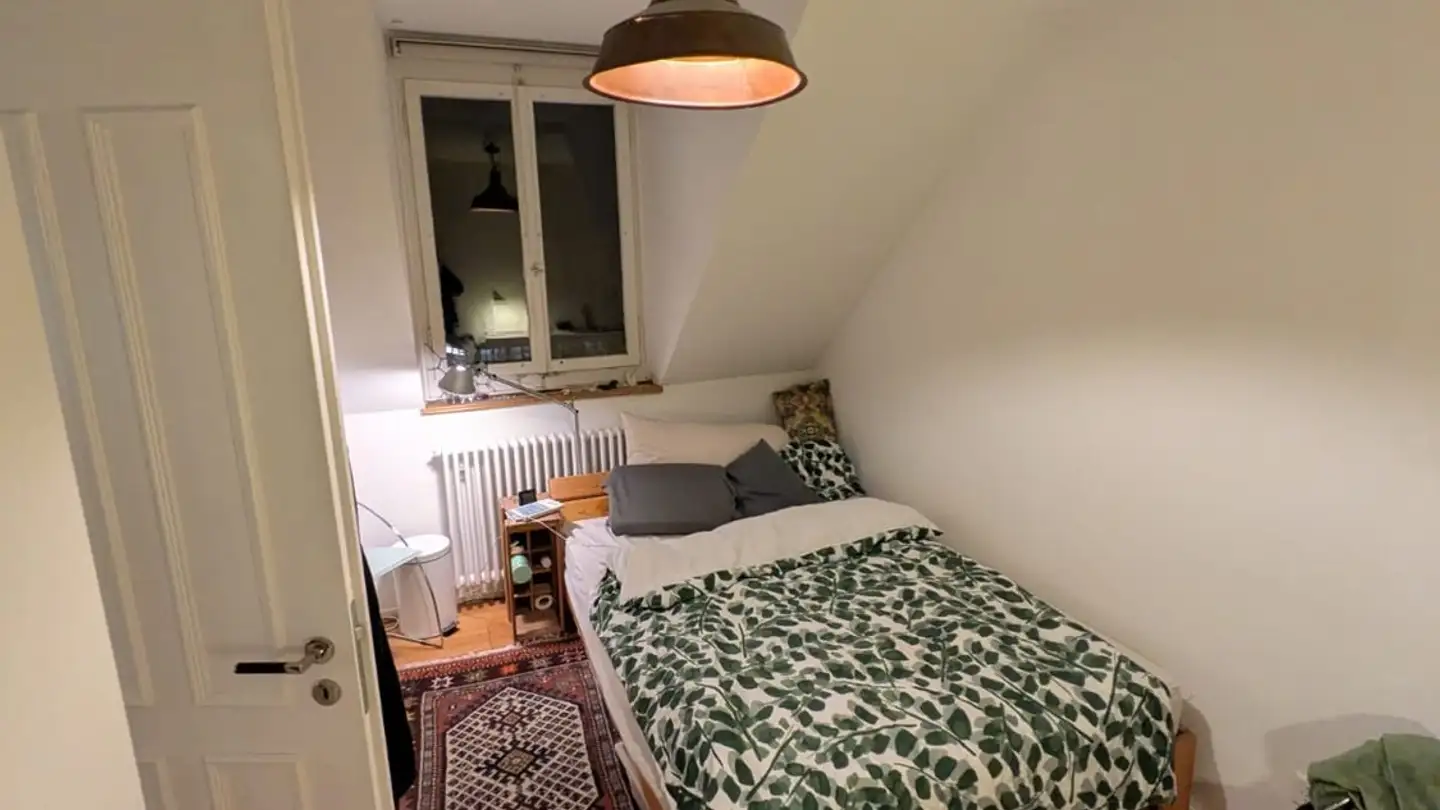 Single room for rent - Guggachstrasse 4, 8057 Zürich