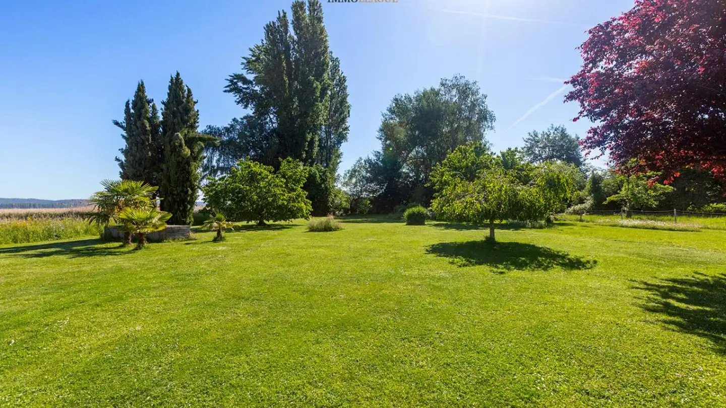 Single house for sale - Riedstrasse 23, 8272 Ermatingen - Photo 4