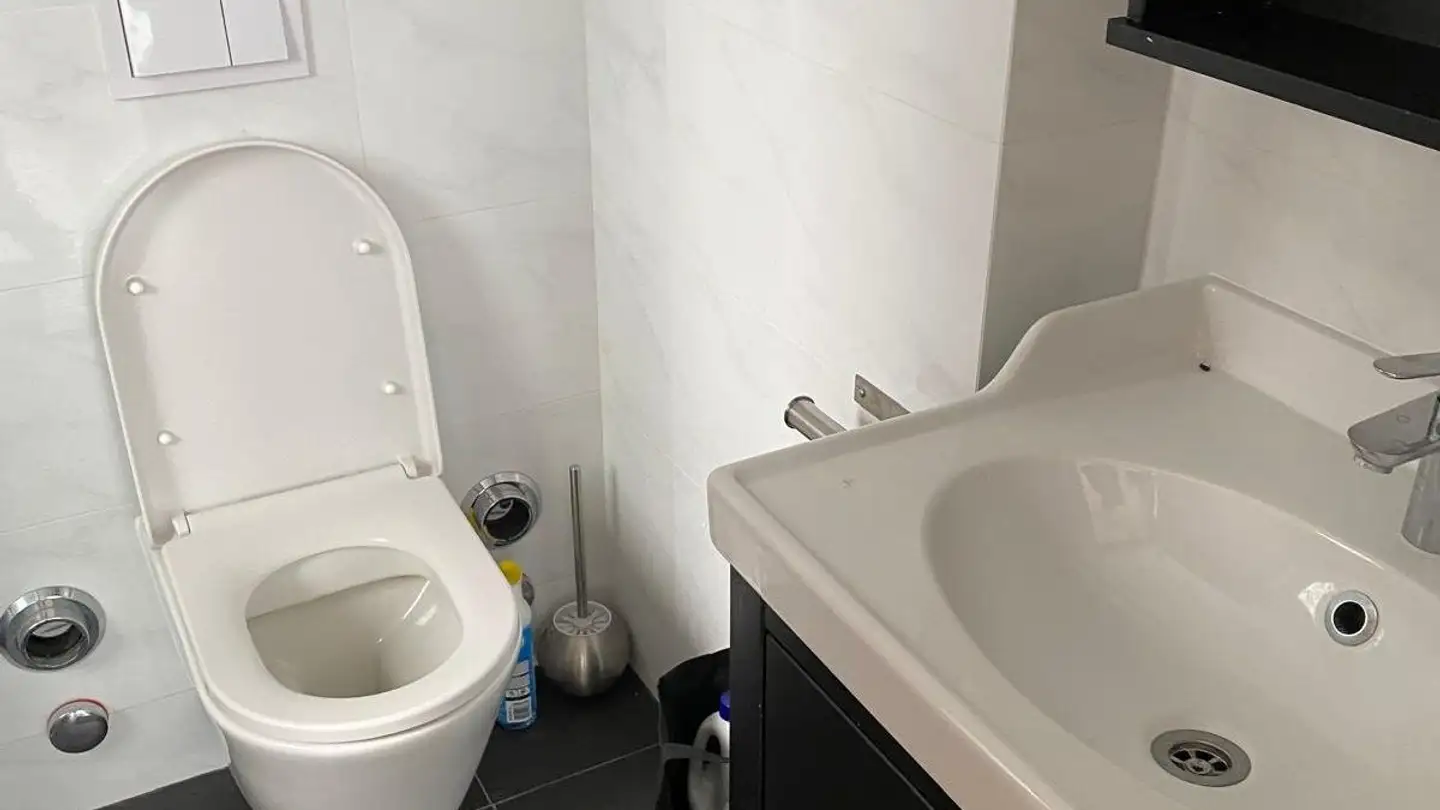 Studio for rent - Chemin Des Mémises, 1025 St-Sulpice VD - Photo 4