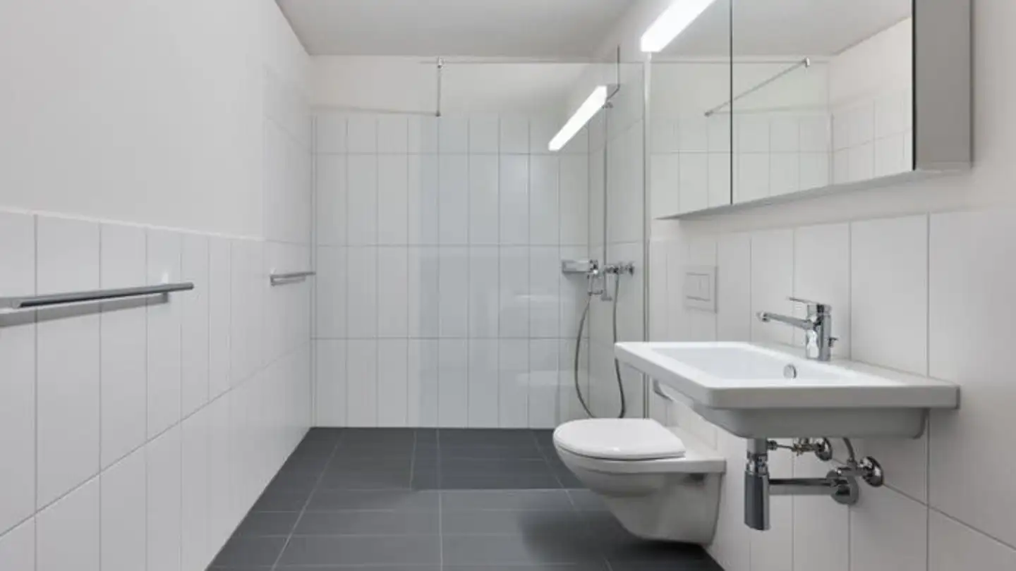 Appartamento in affitto - Bachwiesenstrasse 120, 8047 Zürich - Foto 2