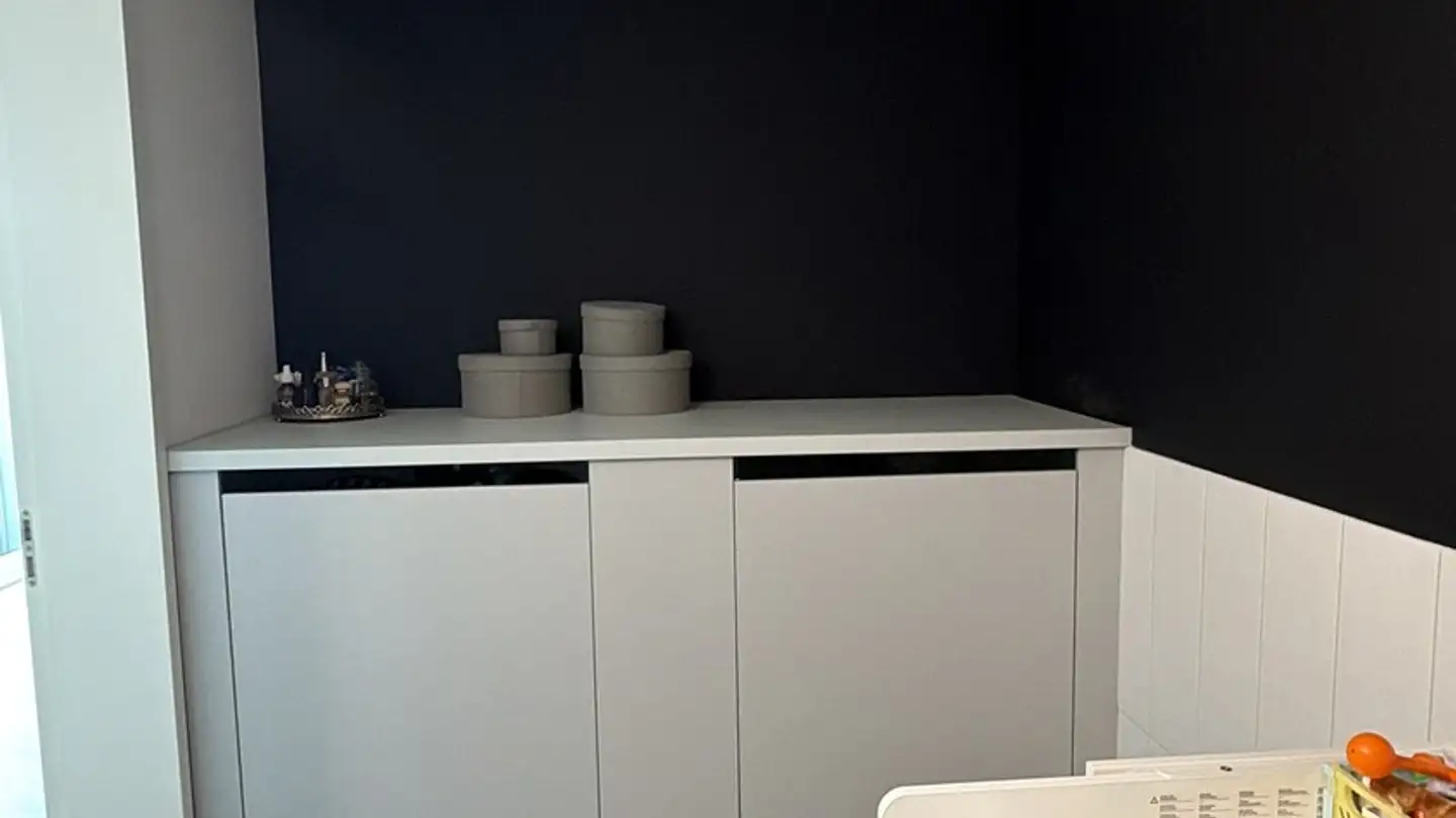 Appartamento in affitto - Bachwiesenstrasse 120, 8047 Zürich - Foto 3