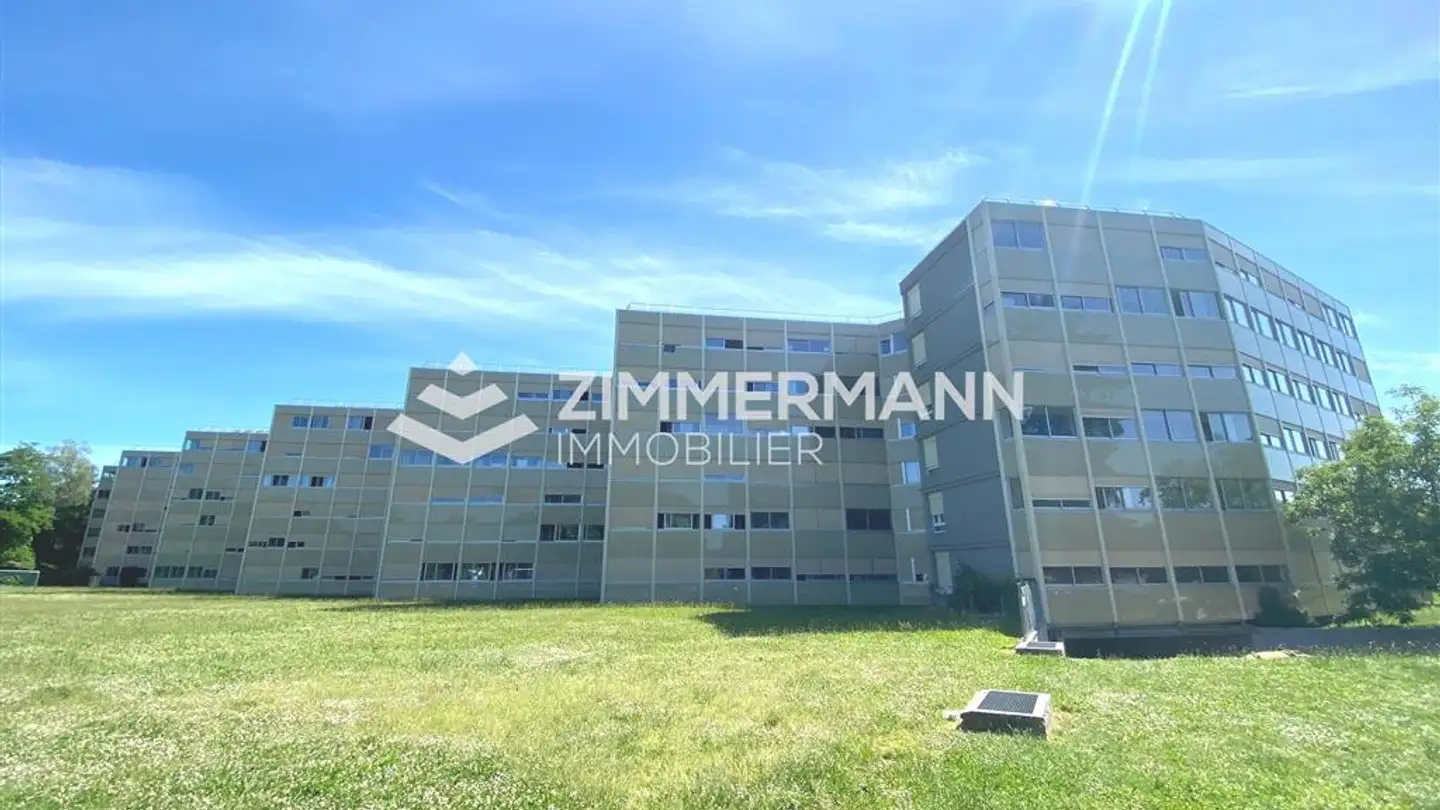 Covered parking space for rent - Chemin De Mouille-Galand, 1214 Vernier