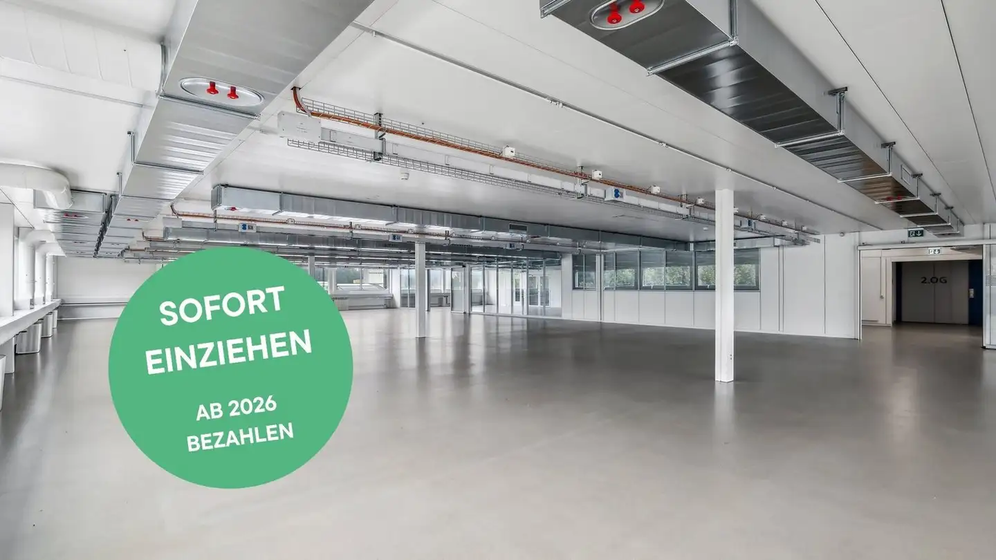 Commercial à louer - Buchmattstrasse 4, 3400 Burgdorf