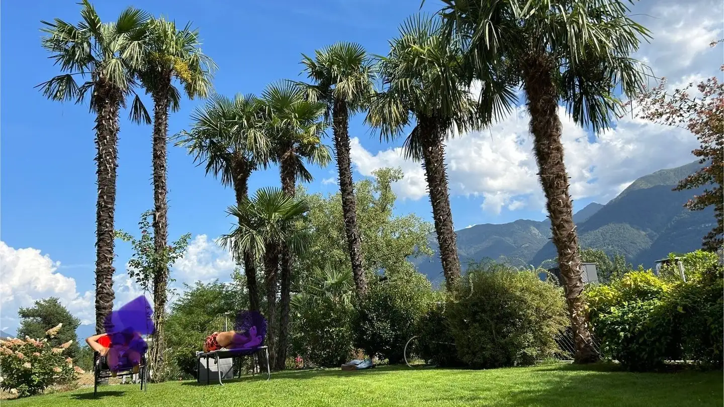 Appartamento in affitto - Via Architetto Poncini 4, 6612 Ascona - Foto 3