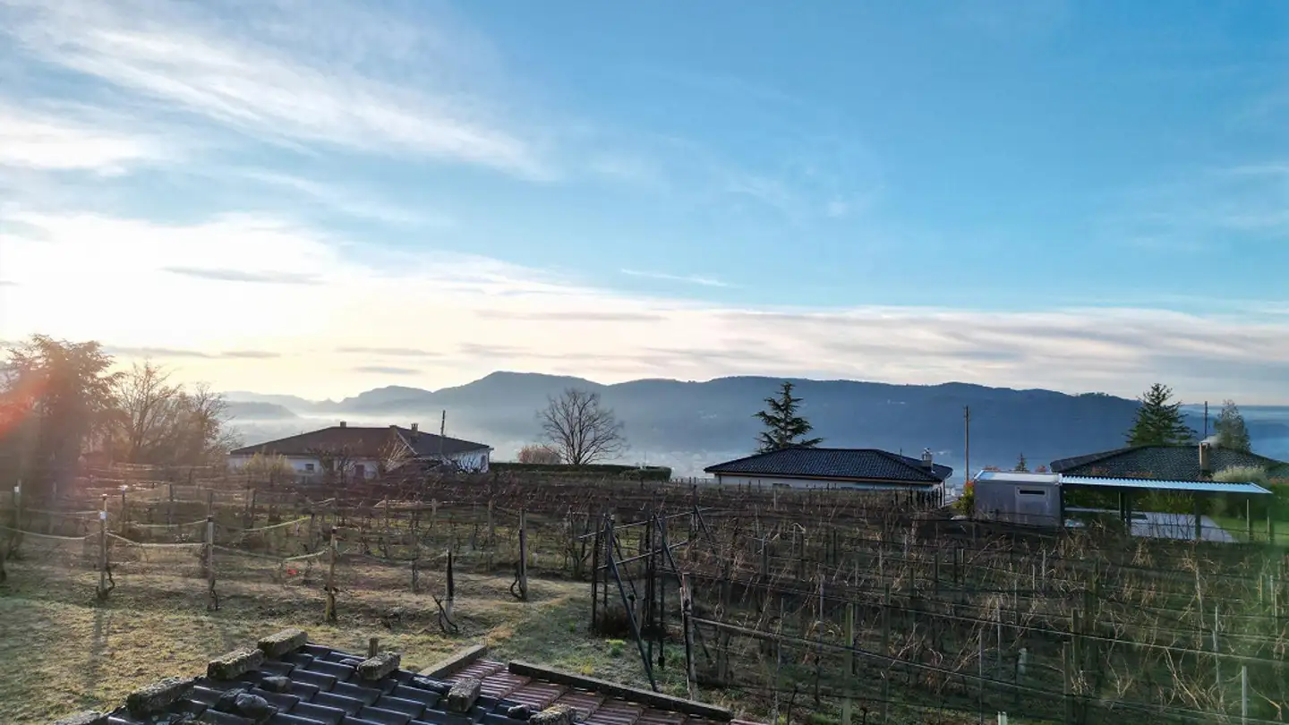 Terrain constructible à vendre - 6850 Mendrisio - Photo 2