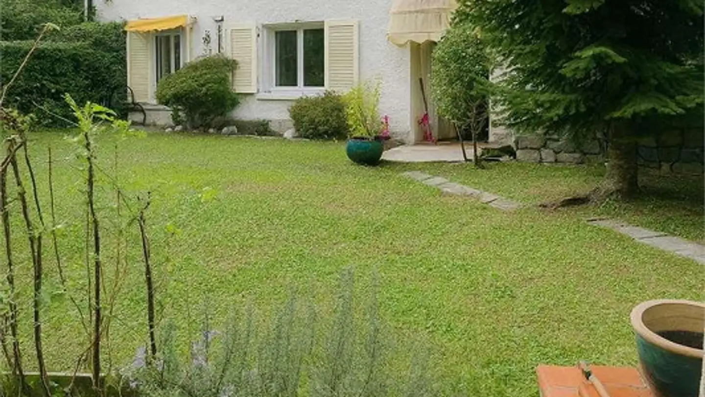 Appartamento in affitto - 6912 Pazzallo